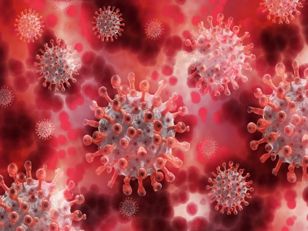 СЗО: В Китай започва проучване за произхода на вируса, причиняващ COVID-19