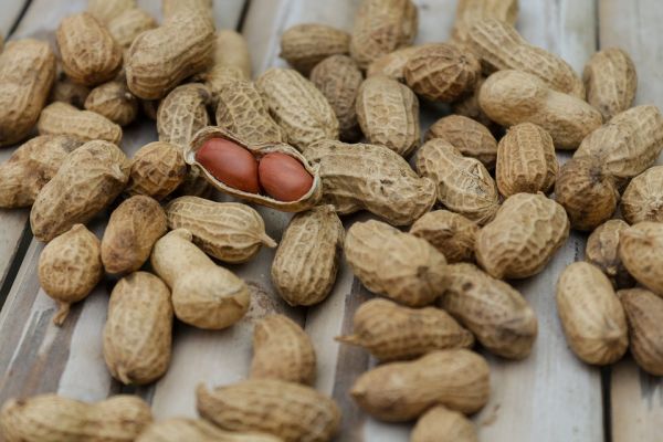 Nestle плаща 2 млрд. долара за производител на лекарства против алергия към фъстъци