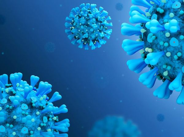 58 са новите случаи на коронавирус, 7 са починалите (Обновена)