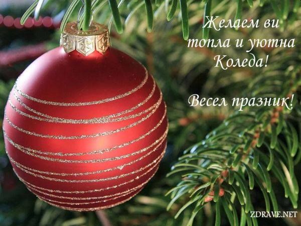 Честита Коледа от екипа на Zdrave.net!