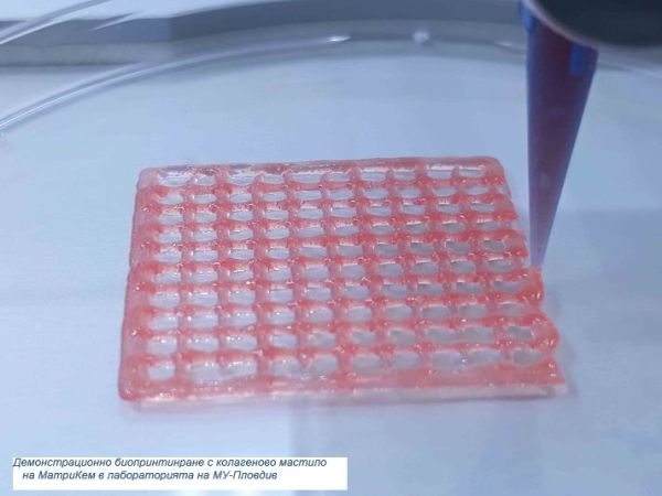 МУ-Пловдив използва български биомастила за 3D биопринтиране