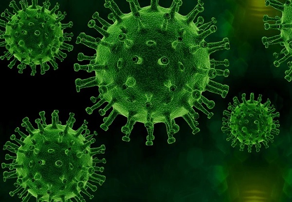 2605 са новите случаи на коронавирус през изминалото денонощие. Това