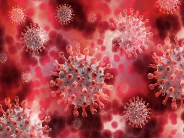 1 601 са новите случаи на коронавирус за изминалото денонощие