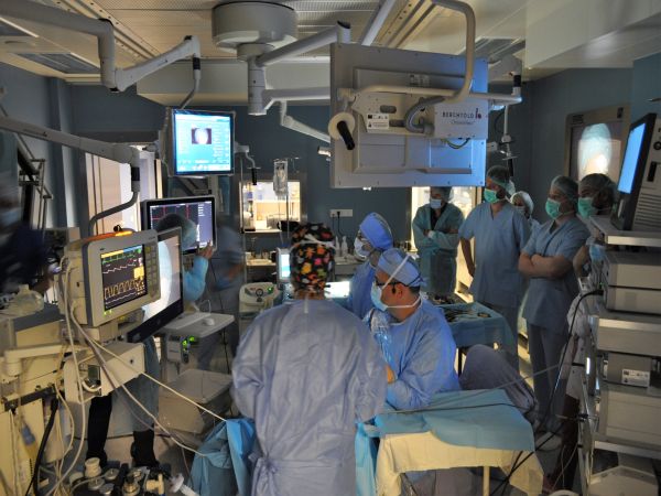 За поредна година се проведе курс с международно участие в