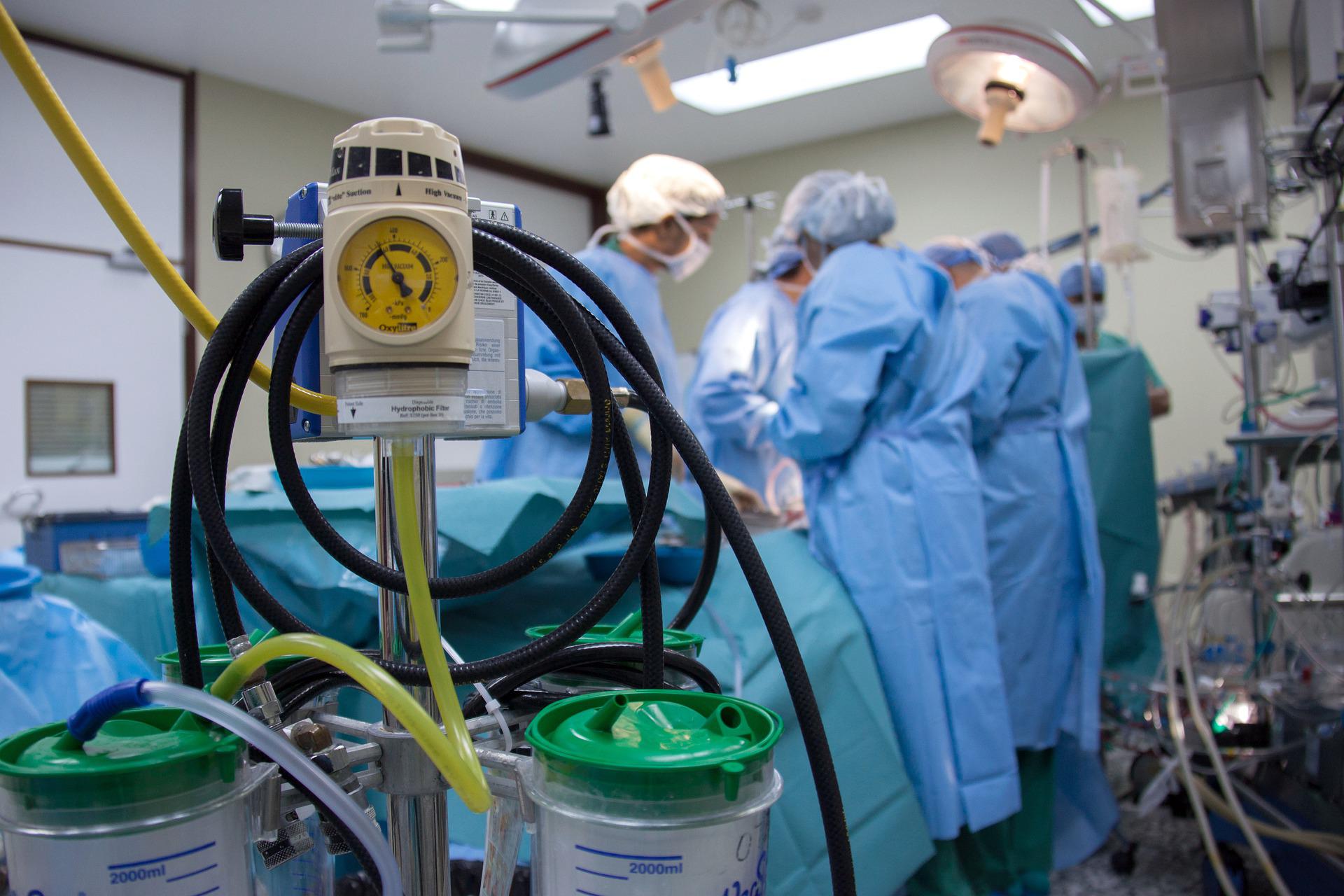 Хирурзи от Нюйоркския университет успешно са осъществили трансплантации на свински
