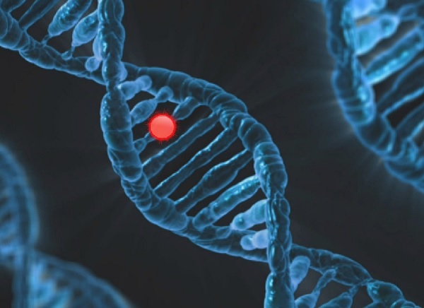 България няма свой Национален план по редки болести Изтеклият през