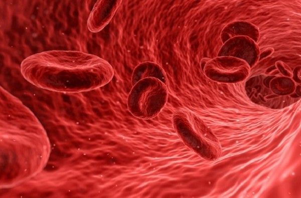 EMA одобри първата генна терапия за лечение на хемофилия B 