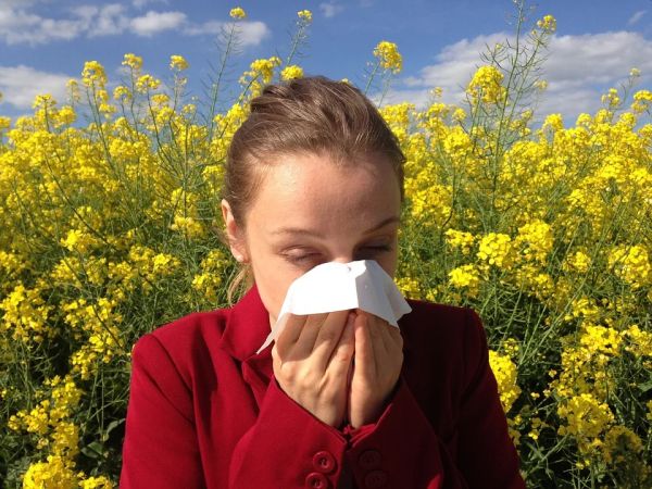 Учени в САЩ алармират за рязък скок на поленовите алергии 