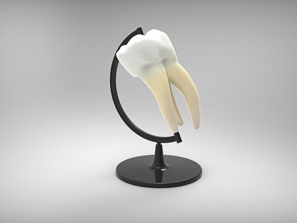 Денталната помощ – какво и до каква степен се поема от НЗОК? (Видео)