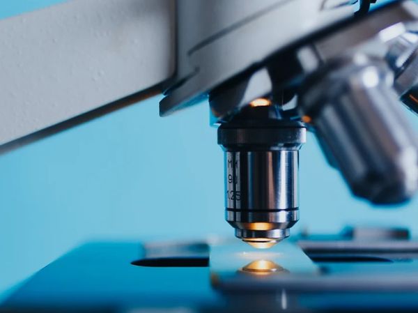 Лечение с антитяло подобрява значително прогнозата при пациенти с мултиплен миелом