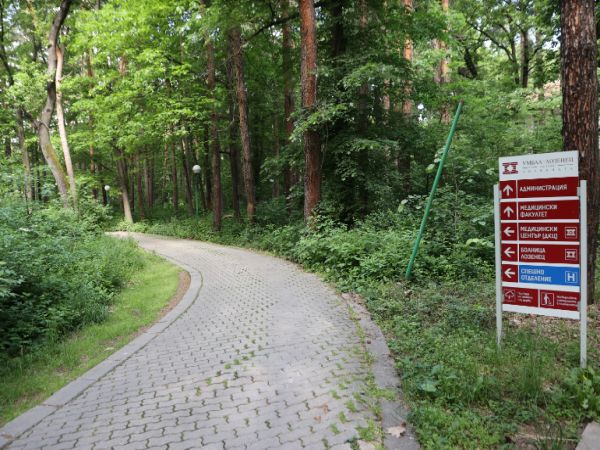 Високоинтензивна лазерна терапия в лечението на опорно-двигателния апарат прилагат в УМБАЛ „Лозенец“