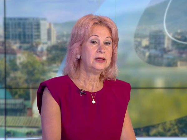 Проф. Христова: Пикът на западнонилската треска у нас се очаква от август до средата на септември