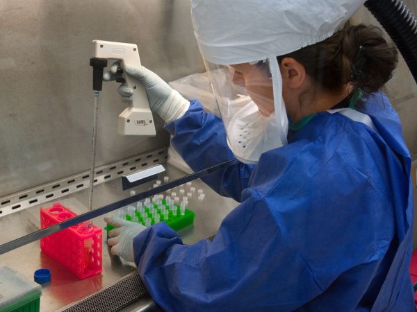 Доказан е първият за сезона грипен вирус A(H1N1)pdm09