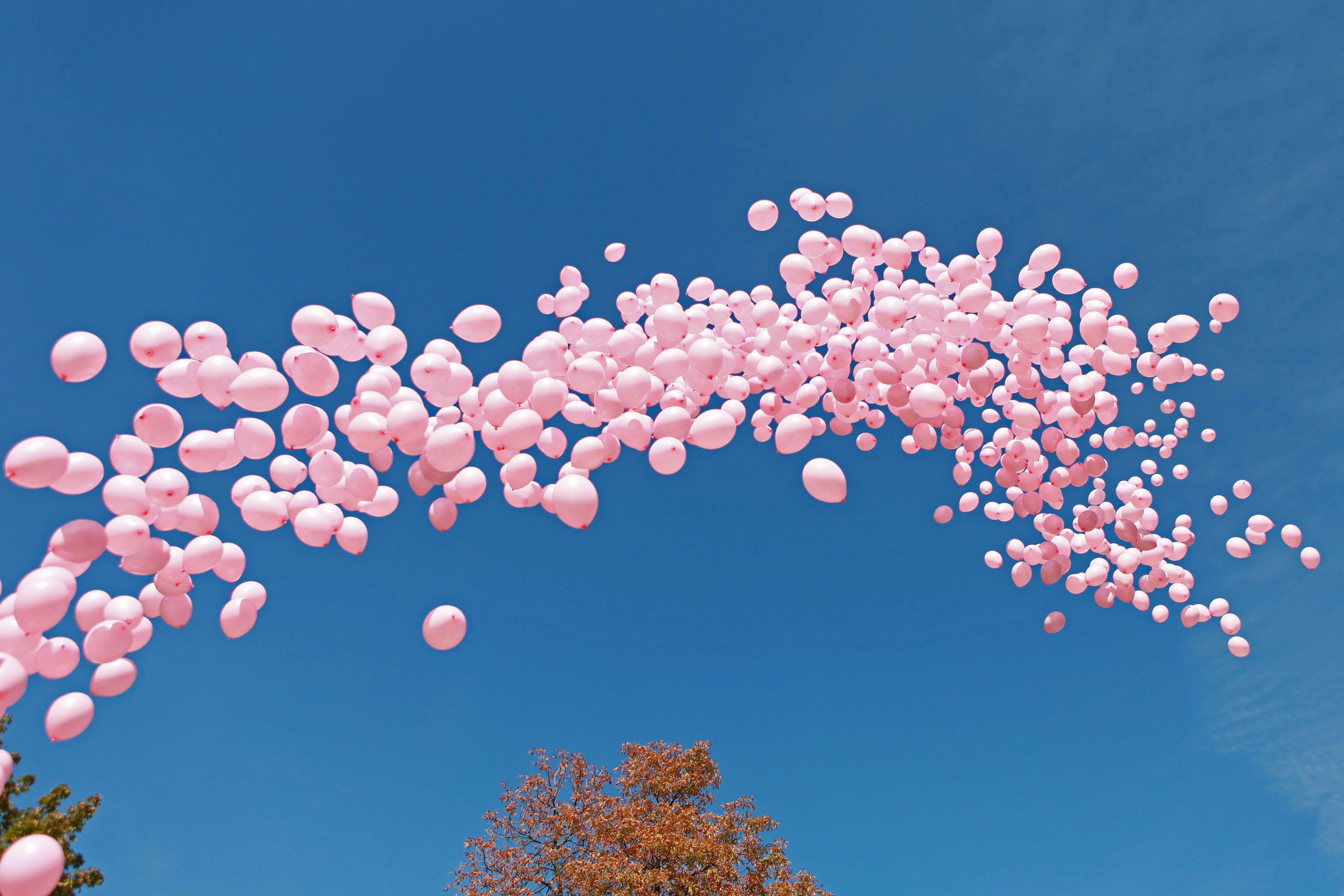 1200 розови балона полетяха в памет на жените, които губят битката с рака на гърдата