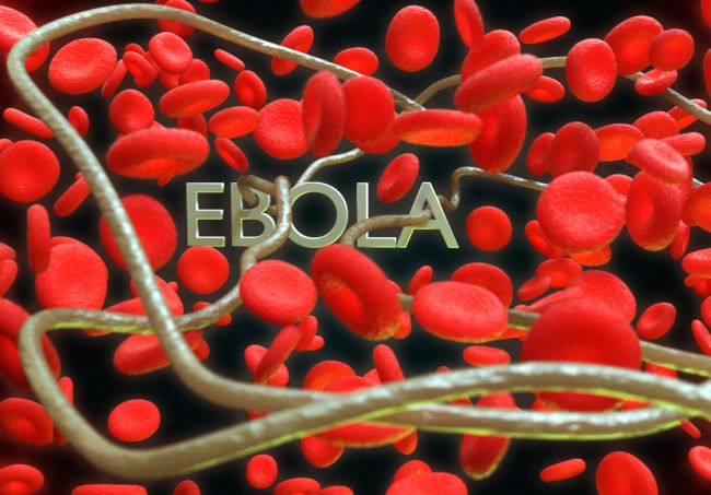 Ново огнище на ебола в Конго