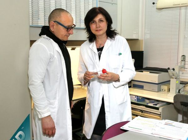 Денят на имунологията с фокус върху блокиране на контролните пунктове на рака