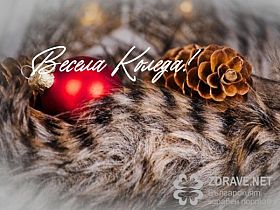 Светъл празник!