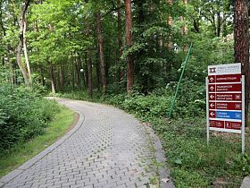 Нови клинични стажове по психология в УМБАЛ „Лозенец“