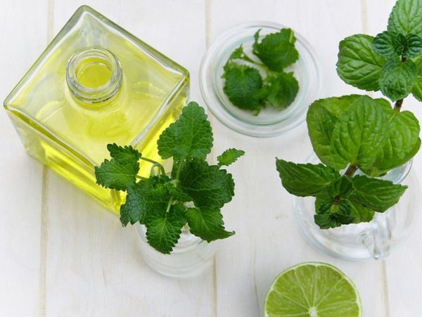 В Италия: Дете с ушна инфекция почина след лечение с билки