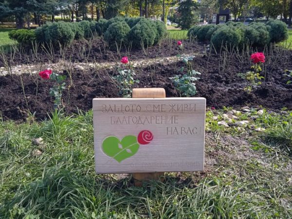 Само 4 са трупните донори у нас от началото на годината