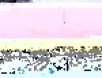 65 000 тона ваксини ще трябва да бъдат транспортирани при специални условия