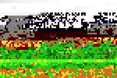 Украйна търси заем, за да закупи ваксини срещу COVID-19