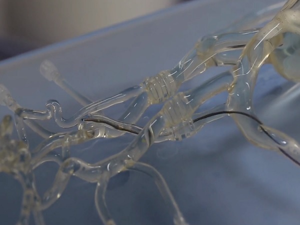 Новаторски проект позволява доставяне на лекарства директно до болните органи и тъкани