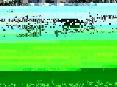 В Кюстендил поставят паметна плоча с имената на починалите медици в битката с COVID-19 