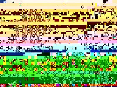 Д-р Златанов: Хората с антитела не попадат в категорията за 