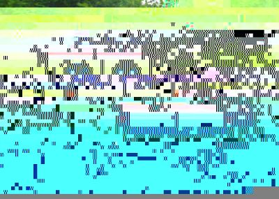 Нидерландия евакуира спешно COVID пациенти до клиники в Германия 