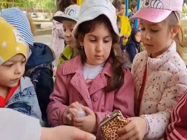 Кампанията 