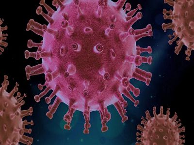 Белгийски учени вярват, че са открили средство за предотвратяване на COVID