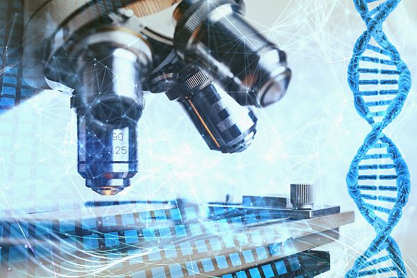 Проучват ефекта на антитяло срещу полиомавирусна инфекция при бъбречно трансплантирани