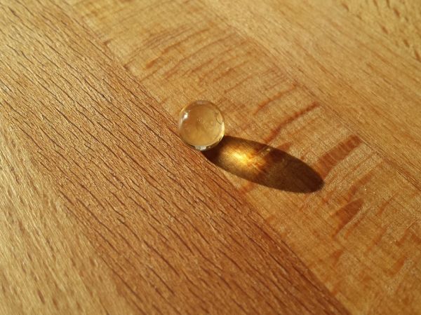 Днес отбелязваме Световния ден на 