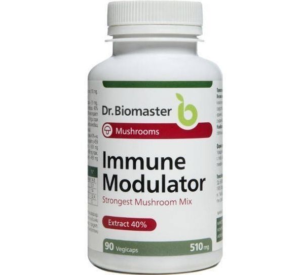 Лекарствени гъби с благоприятно действие срещу редица заболявания