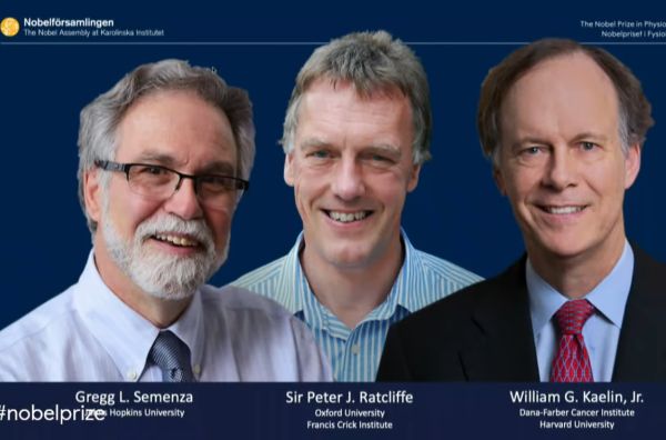 Трима учени получиха Нобелова награда за механизма на един от най-важните адаптативни процеси на живота