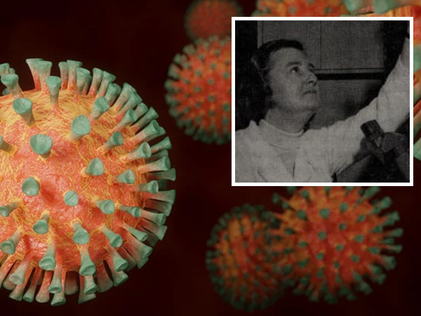 Коя е д-р Джун Харт-Алмейда - откривателката на коронавирусите 
