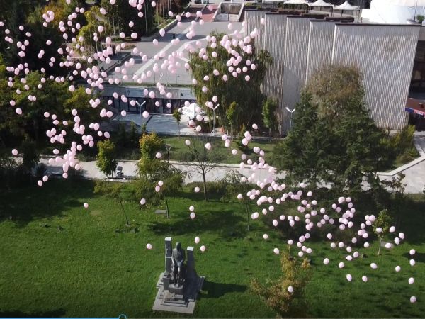 1200 розови балона полетяха в небето над София в памет на жените, загубили битката с рака на гърдата