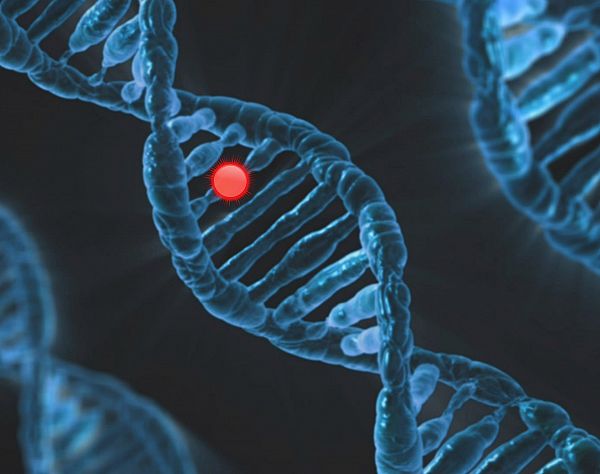 Полски учени откриха ген, който увеличава повече от два пъти риска от тежък COVID