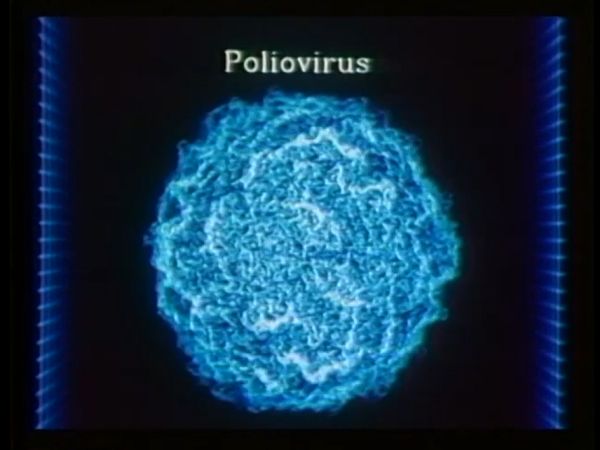 Регистриран е първи случай на полиомиелит в САЩ от 2013 г. насам