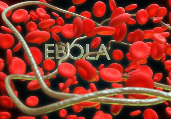 Ново огнище на ебола в Конго